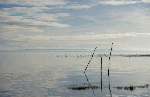 Cabane Jasmine I Plage I Wifi I Plancha I Jardin - Foto 26
