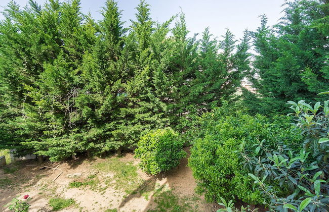 Lux Airport Apartment - Foto 23