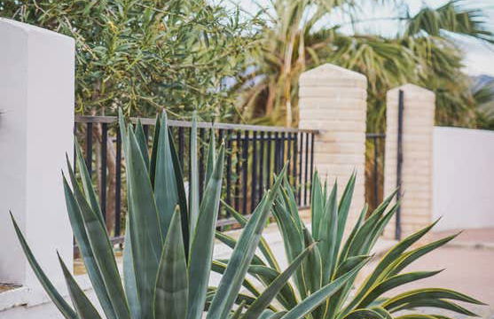 Visita al Centro Artesano de las Pitas - Foto 17