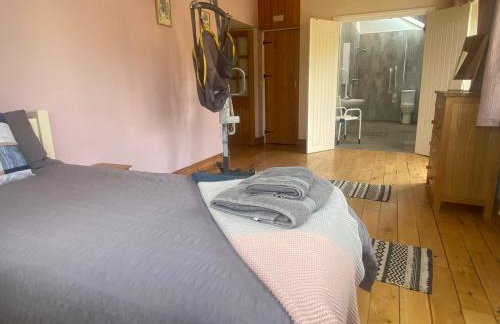 Cambrian Farm House by Birch Stays - Foto 26