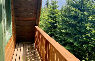 Baranówka - Foto 60