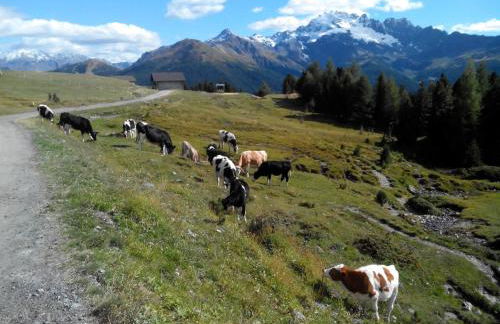 Agriturismo Raethia - Foto 51