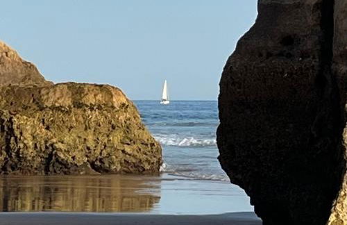 GM Premium Portimão - Foto 62