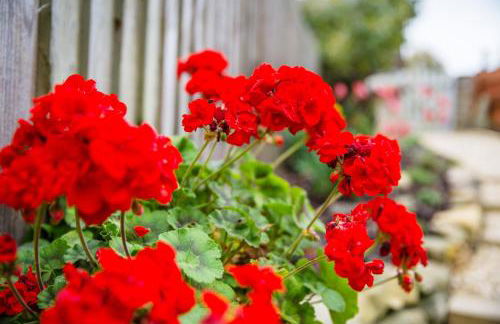 No61 Winchcombe (Cotswolds) - Foto 9