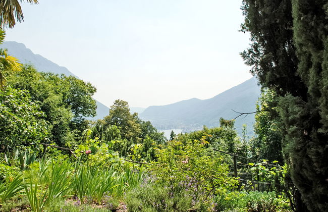 Studio al vigneto - Foto 14