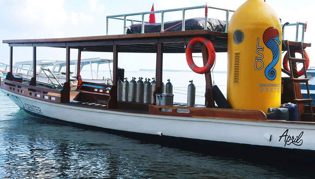 Discover Scuba Dive in Lombok - Foto 4