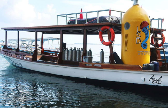 Bautismo de buceo en Lombok - Foto 4