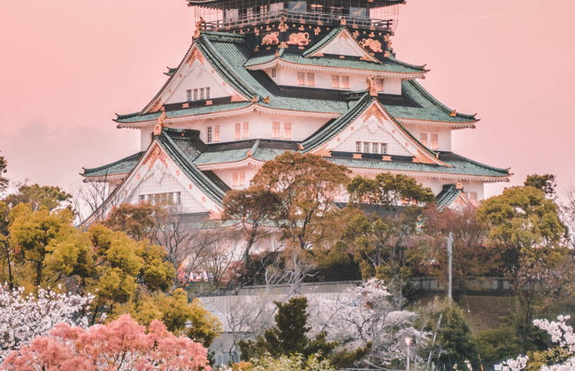 Osaka Amazing Pass - Photo 1