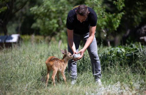 House of Velebit Adria - Foto 69