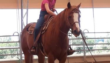 Ferienwohnung Reh - Foto 3