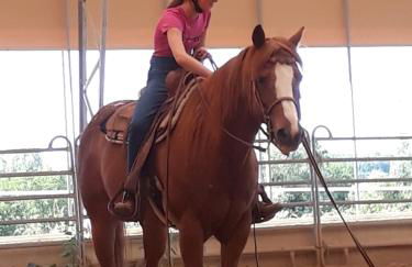 Ferienwohnung Reh - Foto 3