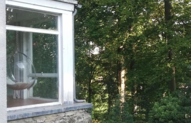 Charming Studio the Heart of the Forest - Foto 25