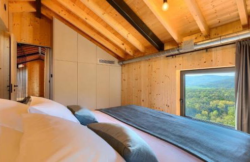 Villa Terra Motovun - Foto 44