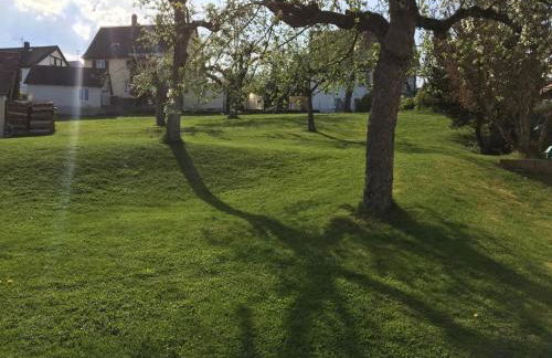 Ruhig Wohnen in Sulz - Photo 22