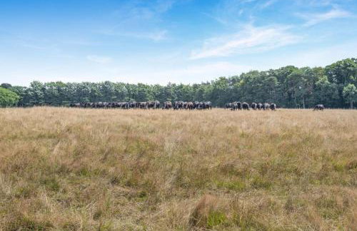 1 Bed in Swanton Novers oc-1747 - Foto 18