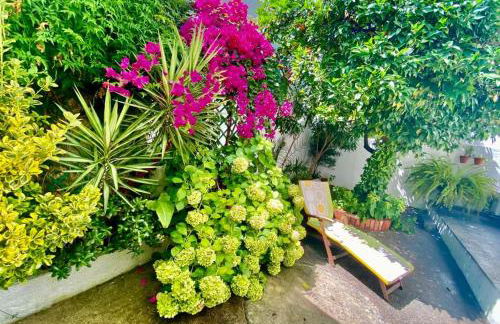 Pátio da Laranjeira - Foto 7