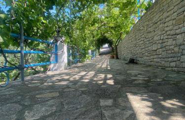 Pantheon Apartments & Studios - Photo 112