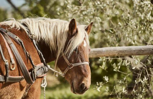 Agriturismo Gli Archi - Foto 62