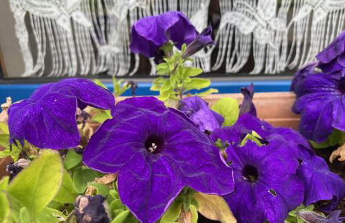 Une halte entre terre et mer - Foto 10