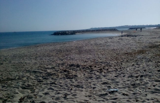 House With Garden Wala - Foto 10