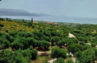 Meltemi Rooms and Apartments - Foto 62