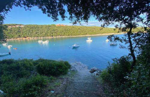 Apartment MiA with WIFi and private garden - Photo 23