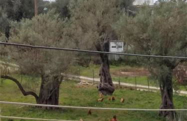 Lefkada CP Residences - Photo 23