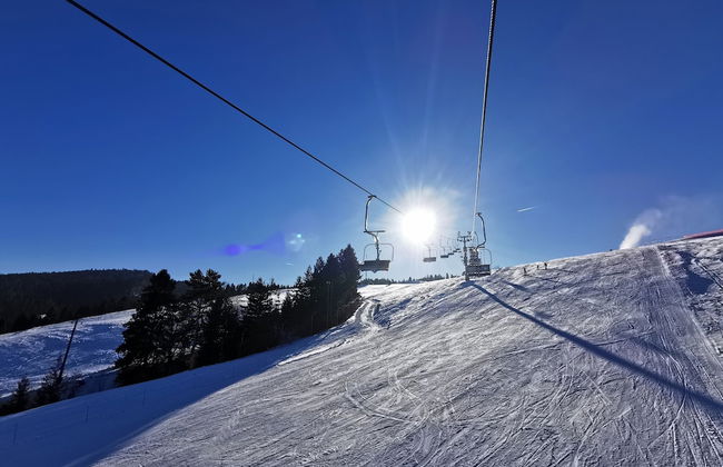 Jaworki Green Dream - Foto 68