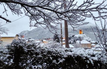 Le Nopal Bleu - Foto 29