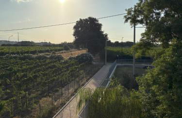 La casa di Nana' 1 - Foto 62