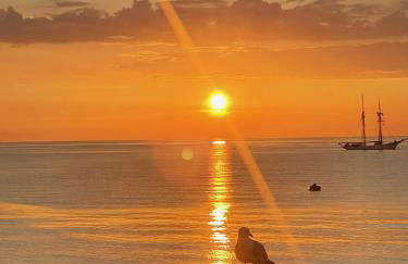 Luzea, Domaine Iratzia - Foto 1