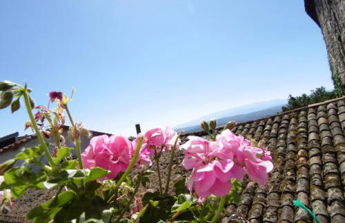 Apartamentos Azahar - Foto 10