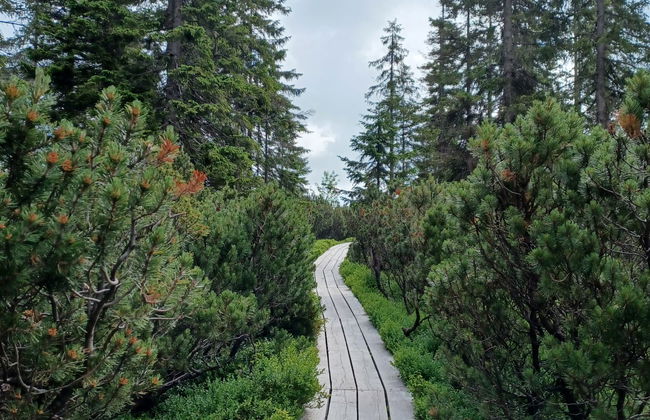 Holiday Hill 67 - Foto 66