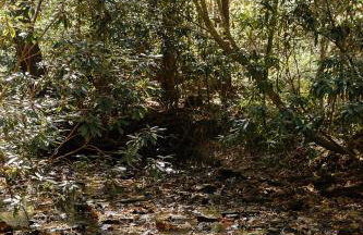 Modern Mirror Home w/ Hot-tub | “Glass House” #3 - Foto 23