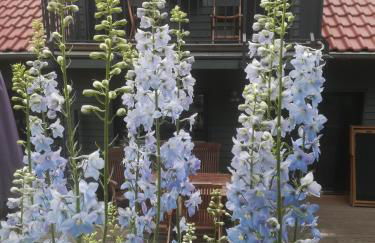 Ferienhof"WaldEsel Rippersroda" - Foto 69