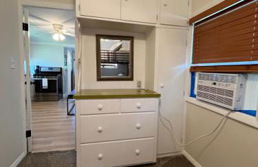 The little blue jay - Foto 7