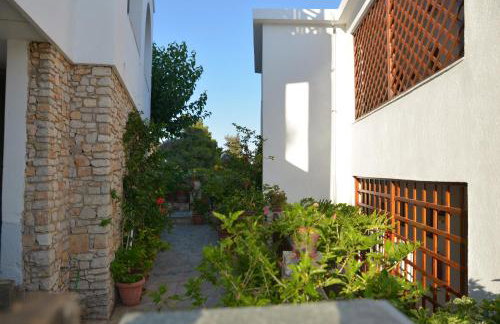 Pension Andromeda - Foto 37