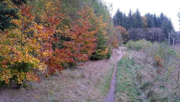 4 Person Holiday Home in Silkeborg-by Traum - Foto 4