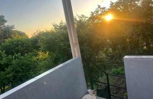 Suíte privativa - Foto 7