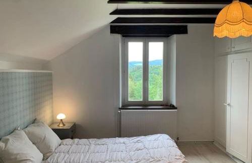 Gîte Au bout des Mynes avec vue panoramique - Foto 25