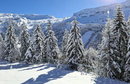 Résidence Les Pleiades - Appartement spacieux et lumineux · Centre station · Balcon · Parking couvert MAE-7354 - Foto 18