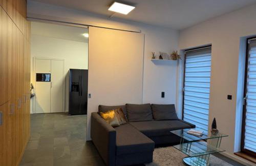 Ferienwohnung- Monteurwohnung- Businesswohnung- Wellness- Sauna - Foto 16