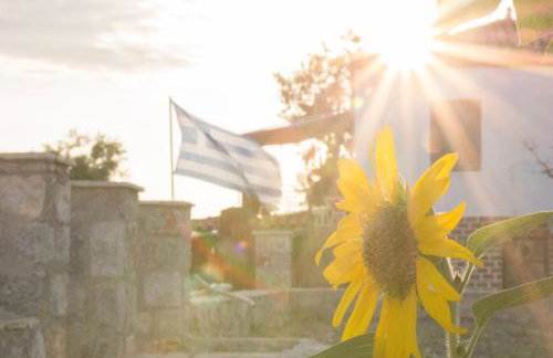 Ktima Develekou - Foto 8
