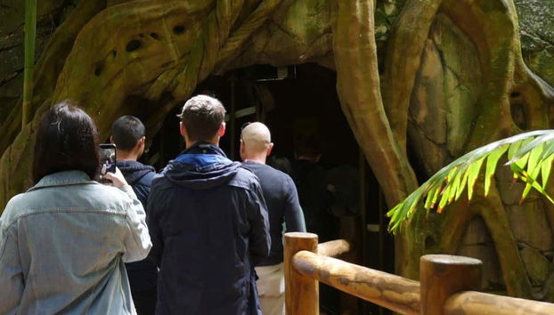 Excursion aux grottes des vers luisants du mont Tamborine - Photo 4