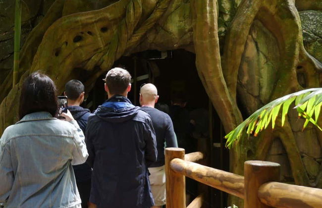 Glow Worm Caves Day Trip from Brisbane - Photo 4