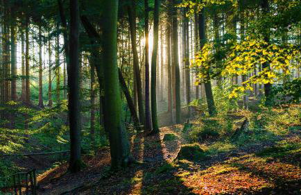 Ferienwohnungen Möhnesee - zentral, stilvoll und ruhig mit Balkon und Boxspringbetten - Foto 32