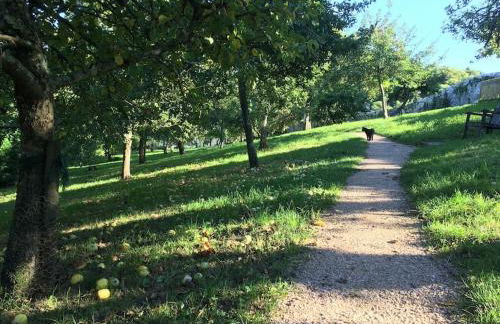 The Post House (Centre of riverside village) - Photo 5