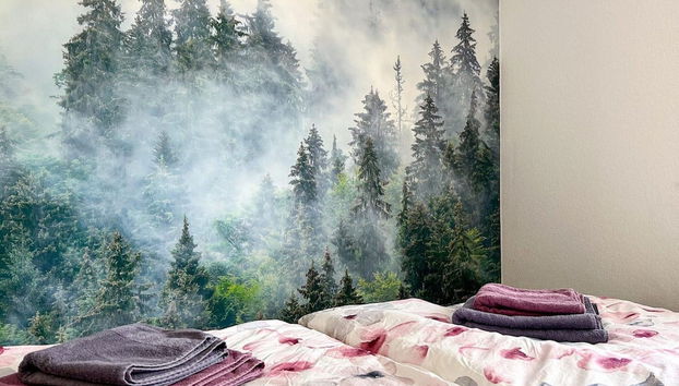 Flat With Balcony Near Golf Course in Winterberg - Foto 3, Habitación