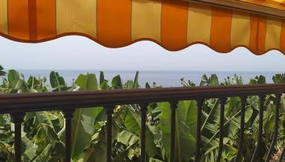 Caracol "trail Mountain La Palma" - Junto a Trébol - Foto 5