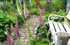 Steinaublick Ferienwohnung - Schnell in Hamburg-Lübeck-Lüneburg-Schwerin-Ostsee - Foto 19